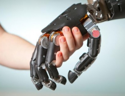 Регенерация частей тела — наше будущее