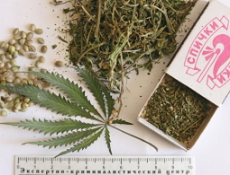 Год без наркополиции: кто выиграл от реформы