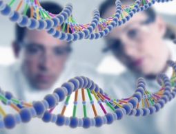В будущем расшифровать геном можно будет всего за 100 долларов
