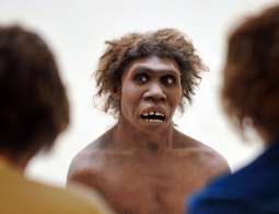 Ученые выяснили, что неандертальцы постепенно "вымирают" в нашей ДНК