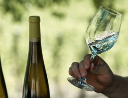 Ученые выяснили, чем опасно белое вино для женщин