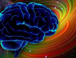 Neuralink Илона Маска. Часть вторая: мозг