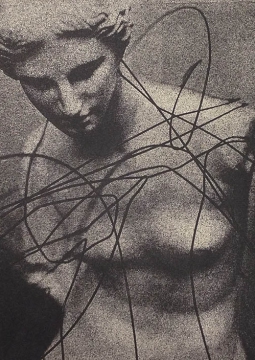 Венера - 20ХХ