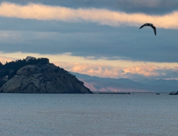 Крымские власти допустили возрождение фестиваля "КаZантип"