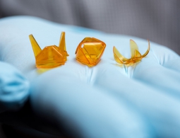 В Китае напечатали «оригами» с помощью обычного проектора и Power Point