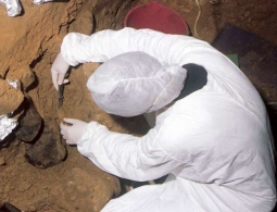 Археологи смогли обнаружить ДНК наших предков в осадочных породах