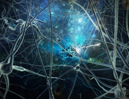 Neuralink Илона Маска. Часть третья: полет над гнездом нейронов