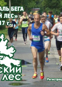 Фестиваль бега 