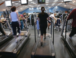 Биологи открыли вещество, заставляющее мускулы сжигать жир