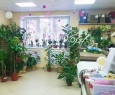 Всё пучком!-3