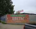 Цветобаза-1
