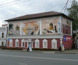 Дом Бодалева-1