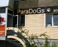 Paradogs-1