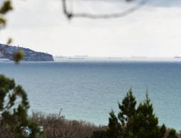 Эксперты оценили, как повлияет на туристическую отрасль курортный сбор