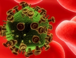 При помощи генной инженерии удалось ликвидировать ВИЧ у животных