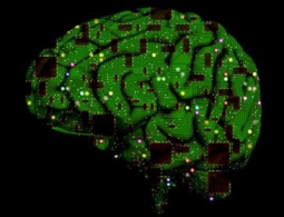 Neuralink Илона Маска. Часть пятая: задача Neuralink