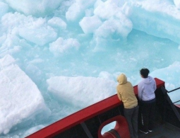 Если зоны вечной мерзлоты продолжат сокращаться, могут «пробудиться» древние вирусы