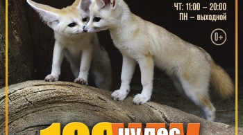 100 ЧУДЕС СВЕТА