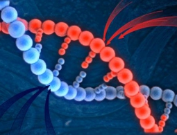 Ученые нашли пример "эгоистичного" поведения генов