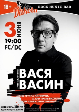 Вася Васин (Кирпичи)