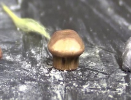 Специалисты ВВС США разработали «жидкую» броню