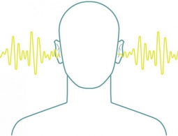 Пять применений ультразвука, которые изменят мир
