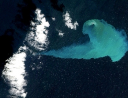 Физики раскрыли тайну существования загадочных "плавучих островов"