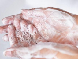 Руки с точки зрения науки: как правильно их мыть?