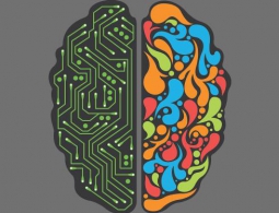 Создан искусственный синапс, который может стать компонентом электронного мозга