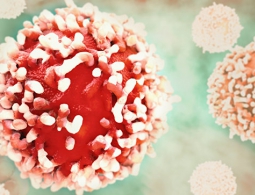 Ученые из России создали наночастицы-"гранаты", убивающие рак