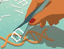 5 загадок, касающихся происхождения CRISPR