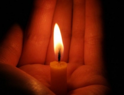 Почему тепло убивает клетки?