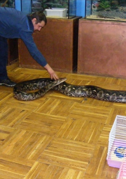 Выставка экзотических животных