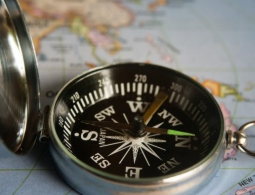 Обнаружены гены, отвечающие за чувствительность к магнитному полю Земли