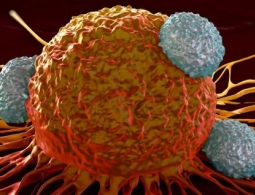 При помощи иммунотерапии удалось победить самый агрессивный тип рака груди