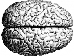 Ученые хотят обратить смерть при помощи стволовых клеток