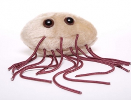 Бактерии мутировали в условиях микрогравитации