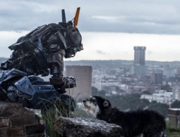 Когда роботы и ИИ заслужат человеческих прав?