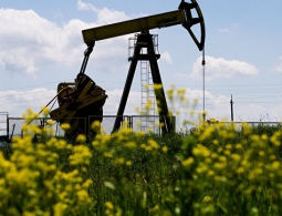 Глава Венесуэлы рассчитывает на рост цены нефти до $60 в ближайшие месяцы