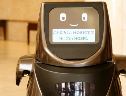 В аэропорту Токио пассажиров будут обслуживать роботы