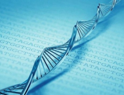 Составлена самая полная карта ДНК человека