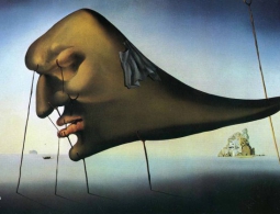 Зачем снятся сны? Десять лучших теорий