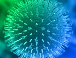 Компьютерное проектирование противовирусных белков может предупредить очередную пандемию