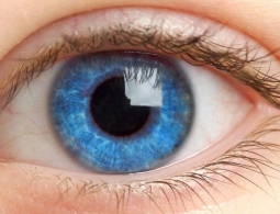 Финские учёные создали искусственную радужную оболочку глаза