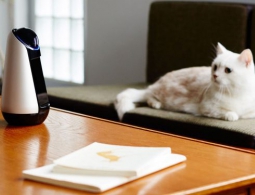 Sony сделала свой искусственный интеллект открытым для разработчиков