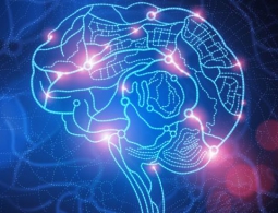 Корень интеллекта может быть заключен в одном уравнении