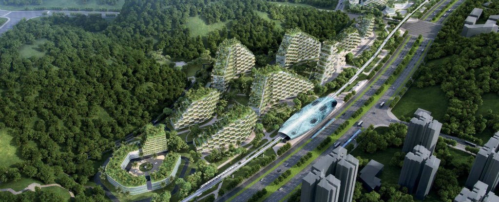 Китай начал строительство первого в мире «Лесного города»