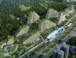 Китай начал строительство первого в мире «Лесного города»