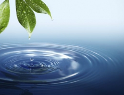 Воду разделили на две разные жидкости