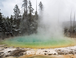 Ученые нашли уникального "инопланетного" микроба в Йеллоустоне